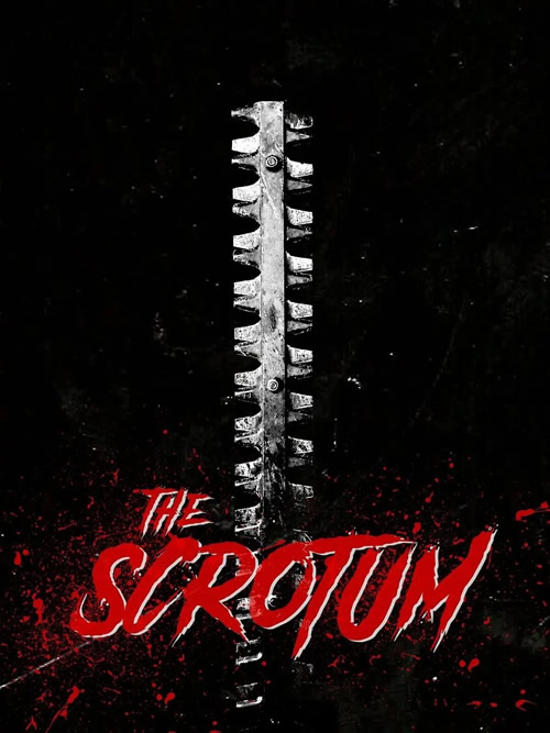 The Scrotum